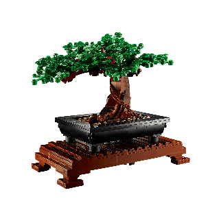 BONSAI 2EN1 - LEGO BOTANICALS 10281
