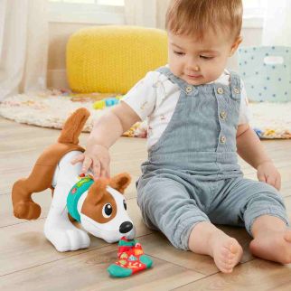 Mon Chiot Rampe avec Moi - Fisher price