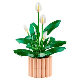 Les Fleurs de Lune : Plante Artificielle à Construire pour Adultes (474 pièces) - LEGO Botanicals