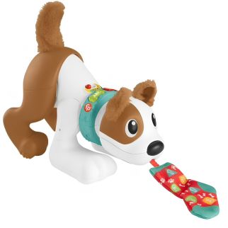 Mon Chiot Rampe avec Moi - Fisher price