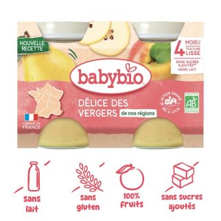 Petit Pot Bébé Délice des Vergers Bio 2x130g