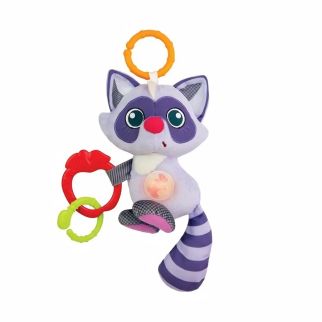 Doudou Interactif Raton Laveur - Winfun