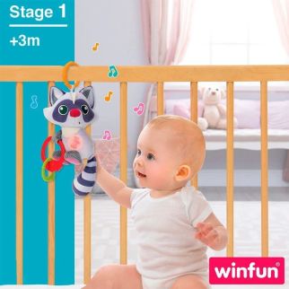 Doudou Interactif Raton Laveur - Winfun