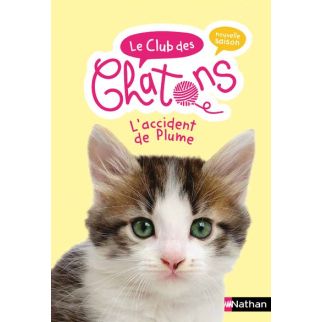 Le club des chatons l'accident de plume