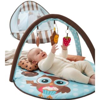 Tapis d’Éveil 2 en 1 avec Moustiquaire