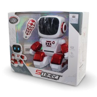 Robot Intelligente R/C