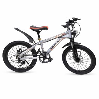 VTT Enfant 20 Pouces à Vitesses Variables – Vélo Tout Terrain Robuste