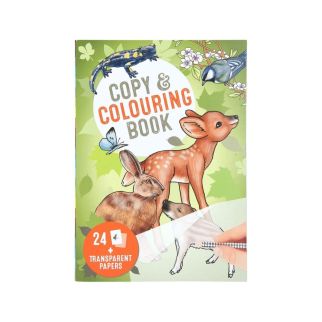Wildlife Copy & Colouring Book