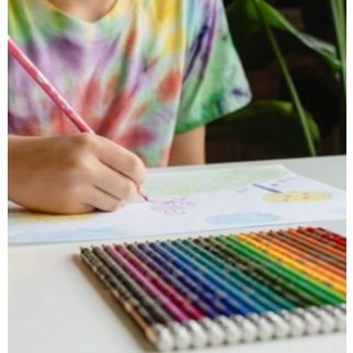 CRAYONS COULEURES ERASABLE BIC KIDS EVOLUTION BOITE DE 12 PCS - BIC