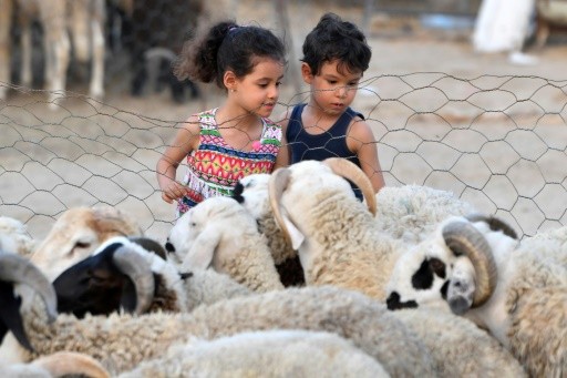 Traditions marocaines de l'Aïd Al-Adha : Des jouets pour célébrer en famille