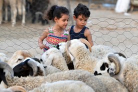 Traditions marocaines de l'Aïd Al-Adha : Des jouets pour célébrer en famille