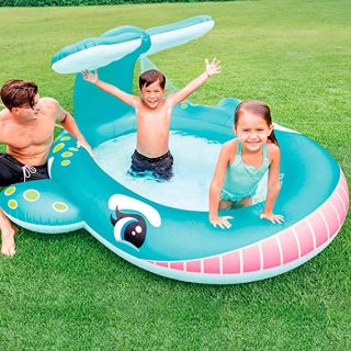 Piscine fontaine Baleine