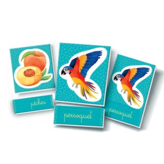LES MOTS EN IMAGES - MONTESSORI - CLEMENTONI