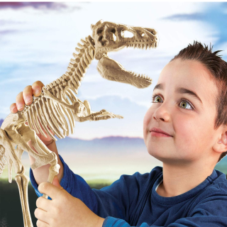 Archéo big T-Rex Velociraptor