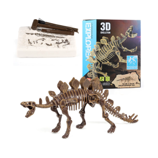 Archéologie du dinosaure 3D-C504