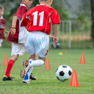 Cônes d'Entraînement