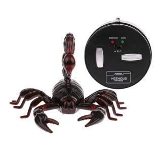 Scorpion Rc