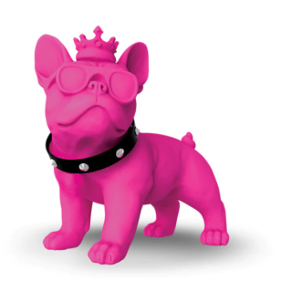 ENCEINTE BLUETOOTH FUNKY BULL 20 WATTS MP3 ROSE