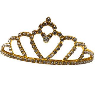 Couronne Dorée de Princesse