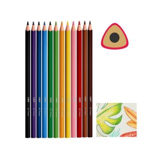 CRAYONS COULEURES 12 PC LONGUE BIC INTENSITY UP