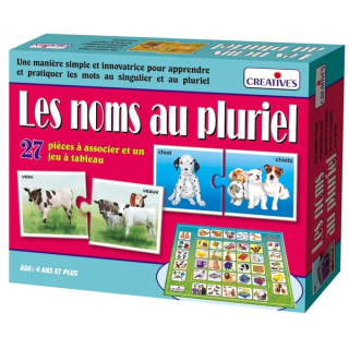 LES NOMS AU PLURIEL