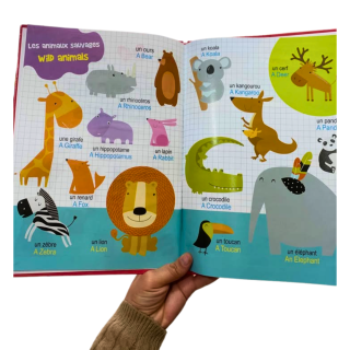 Grand Imagier Illustre Pour Decouvrir L' anglais