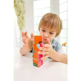 Puzzle Cube en Bois Animaux de La Ferme - Manchot