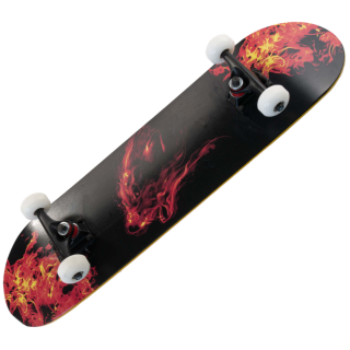 Skate Board 20-1