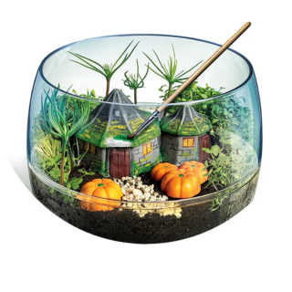 Terrarium Harry Potter - Clementoni