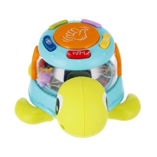 Tortue Musical - Bam Bam