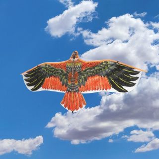 Cerf Volant Aigle