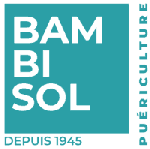 Bambisol